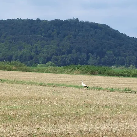 Mw 4a Bis 66 M2 Weserbergland Weser 1-2p 1szi Mbad 3-4p 2szi M2baeder Terrasse Waesche Endreinigung Self Checkin شقة *