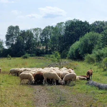 شقة Mw 4a Bis 66 M2 Weserbergland Weser 1-2p 1szi Mbad 3-4p 2szi M2baeder Terrasse Waesche Endreinigung Self Checkin Höxter