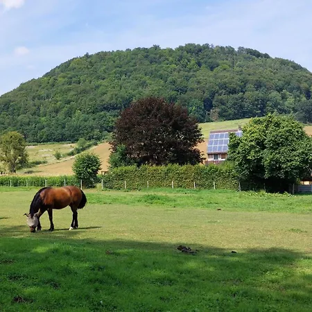 Mw 4a Bis 66 M2 Weserbergland Weser 1-2p 1szi Mbad 3-4p 2szi M2baeder Terrasse Waesche Endreinigung Self Checkin Höxter