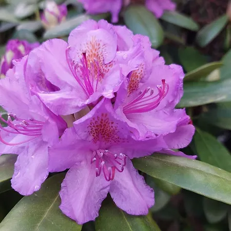 شقة Mw 4a Bis 66 M2 Weserbergland Weser 1-2p 1szi Mbad 3-4p 2szi M2baeder Terrasse Waesche Endreinigung Self Checkin *