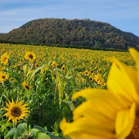 شقة Mw 4a Bis 66 M2 Weserbergland Weser 1-2p 1szi Mbad 3-4p 2szi M2baeder Terrasse Waesche Endreinigung Self Checkin *