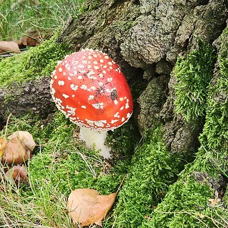 Mw 4a Bis 66 M2 Weserbergland Weser 1-2p 1szi Mbad 3-4p 2szi M2baeder Terrasse Waesche Endreinigung Self Checkin شقة Höxter