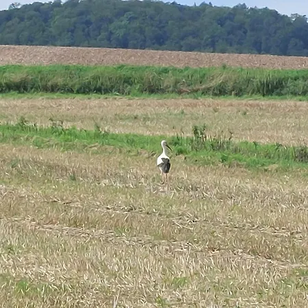 شقة Mw 4a Bis 66 M2 Weserbergland Weser 1-2p 1szi Mbad 3-4p 2szi M2baeder Terrasse Waesche Endreinigung Self Checkin