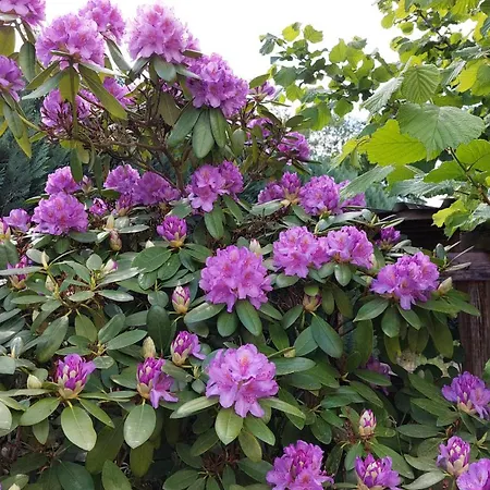 شقة Mw 4a Bis 66 M2 Weserbergland Weser 1-2p 1szi Mbad 3-4p 2szi M2baeder Terrasse Waesche Endreinigung Self Checkin Höxter