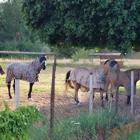 Mw 4a Bis 66 M2 Weserbergland Weser 1-2p 1szi Mbad 3-4p 2szi M2baeder Terrasse Waesche Endreinigung Self Checkin * Höxter
