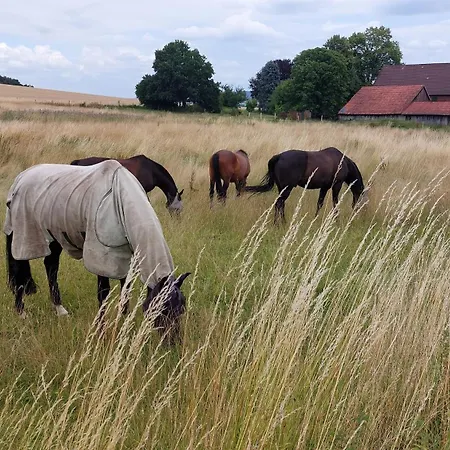 Mw 4a Bis 66 M2 Weserbergland Weser 1-2p 1szi Mbad 3-4p 2szi M2baeder Terrasse Waesche Endreinigung Self Checkin شقة Höxter