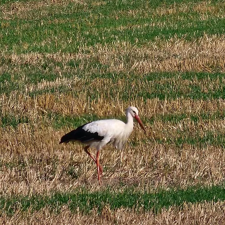 شقة Mw 4a Bis 66 M2 Weserbergland Weser 1-2p 1szi Mbad 3-4p 2szi M2baeder Terrasse Waesche Endreinigung Self Checkin *