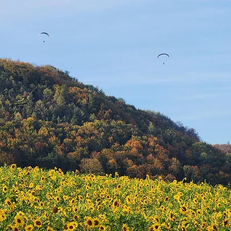 شقة Mw 4a Bis 66 M2 Weserbergland Weser 1-2p 1szi Mbad 3-4p 2szi M2baeder Terrasse Waesche Endreinigung Self Checkin Höxter