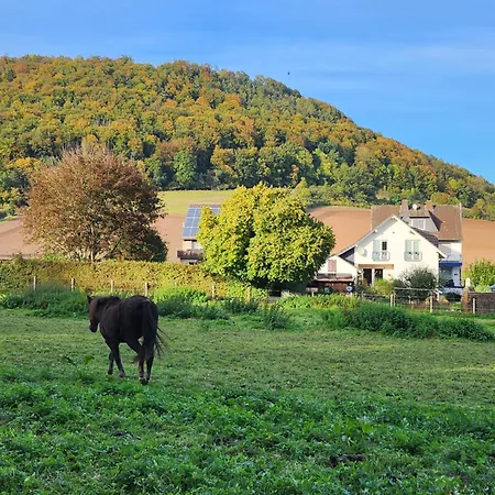 شقة Mw 4a Bis 66 M2 Weserbergland Weser 1-2p 1szi Mbad 3-4p 2szi M2baeder Terrasse Waesche Endreinigung Self Checkin