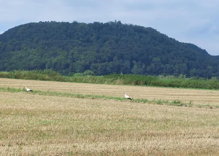 Mw 4a Bis 66 M2 Weserbergland Weser 1-2p 1szi Mbad 3-4p 2szi M2baeder Terrasse Waesche Endreinigung Self Checkin Appartement *