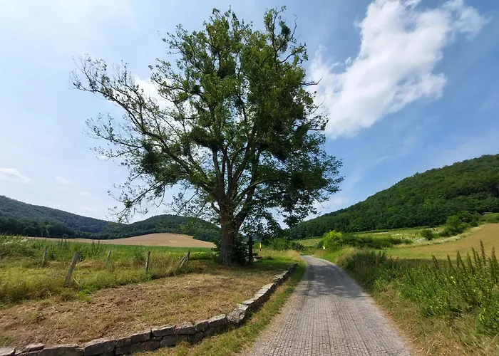 Appartement Mw 4a Bis 66 M2 Weserbergland Weser 1-2p 1szi Mbad 3-4p 2szi M2baeder Terrasse Waesche Endreinigung Self Checkin Höxter