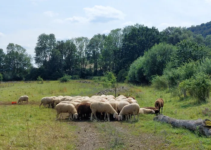 Appartement Mw 4a Bis 66 M2 Weserbergland Weser 1-2p 1szi Mbad 3-4p 2szi M2baeder Terrasse Waesche Endreinigung Self Checkin Höxter