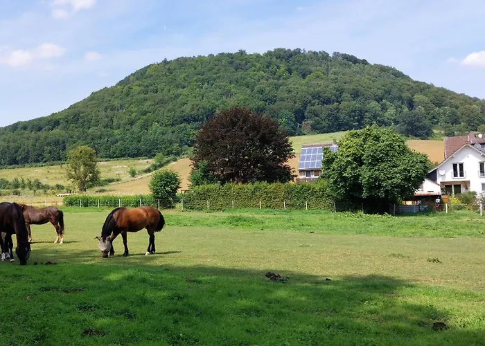 Mw 4a Bis 66 M2 Weserbergland Weser 1-2p 1szi Mbad 3-4p 2szi M2baeder Terrasse Waesche Endreinigung Self Checkin 혹스터