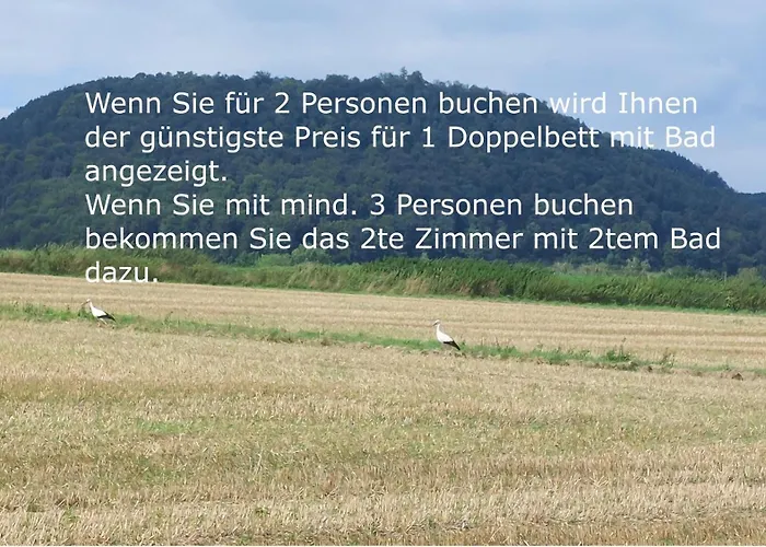 Appartement Mw 4a Bis 66 M2 Weserbergland Weser 1-2p 1szi Mbad 3-4p 2szi M2baeder Terrasse Waesche Endreinigung Self Checkin *