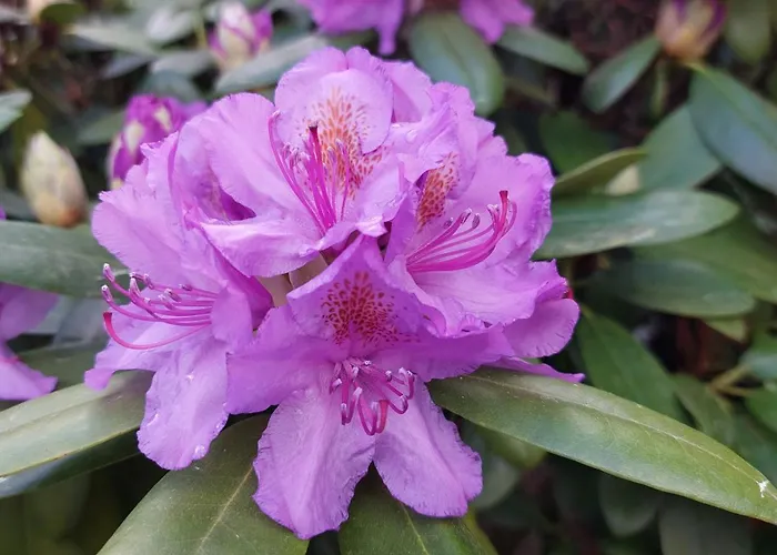 Appartement Mw 4a Bis 66 M2 Weserbergland Weser 1-2p 1szi Mbad 3-4p 2szi M2baeder Terrasse Waesche Endreinigung Self Checkin *