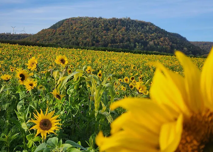 Appartement Mw 4a Bis 66 M2 Weserbergland Weser 1-2p 1szi Mbad 3-4p 2szi M2baeder Terrasse Waesche Endreinigung Self Checkin *