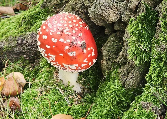 Mw 4a Bis 66 M2 Weserbergland Weser 1-2p 1szi Mbad 3-4p 2szi M2baeder Terrasse Waesche Endreinigung Self Checkin Appartement Höxter