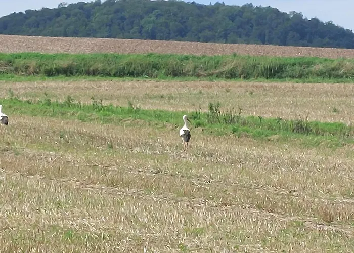 Appartement Mw 4a Bis 66 M2 Weserbergland Weser 1-2p 1szi Mbad 3-4p 2szi M2baeder Terrasse Waesche Endreinigung Self Checkin