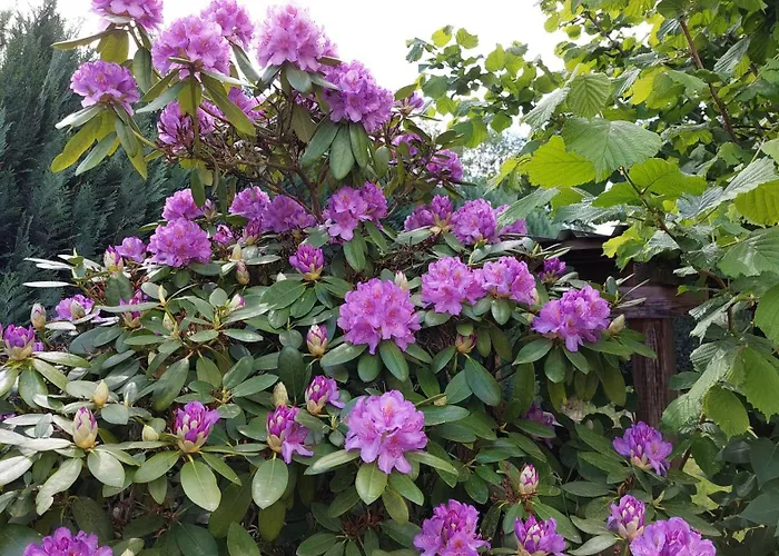 Appartement Mw 4a Bis 66 M2 Weserbergland Weser 1-2p 1szi Mbad 3-4p 2szi M2baeder Terrasse Waesche Endreinigung Self Checkin Höxter