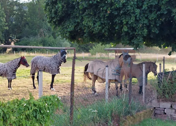 Mw 4a Bis 66 M2 Weserbergland Weser 1-2p 1szi Mbad 3-4p 2szi M2baeder Terrasse Waesche Endreinigung Self Checkin * Höxter
