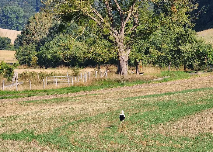 Mw 4a Bis 66 M2 Weserbergland Weser 1-2p 1szi Mbad 3-4p 2szi M2baeder Terrasse Waesche Endreinigung Self Checkin Appartement