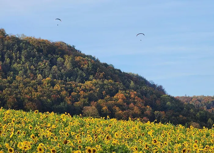 Appartement Mw 4a Bis 66 M2 Weserbergland Weser 1-2p 1szi Mbad 3-4p 2szi M2baeder Terrasse Waesche Endreinigung Self Checkin Höxter
