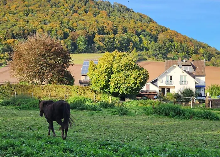 Appartement Mw 4a Bis 66 M2 Weserbergland Weser 1-2p 1szi Mbad 3-4p 2szi M2baeder Terrasse Waesche Endreinigung Self Checkin